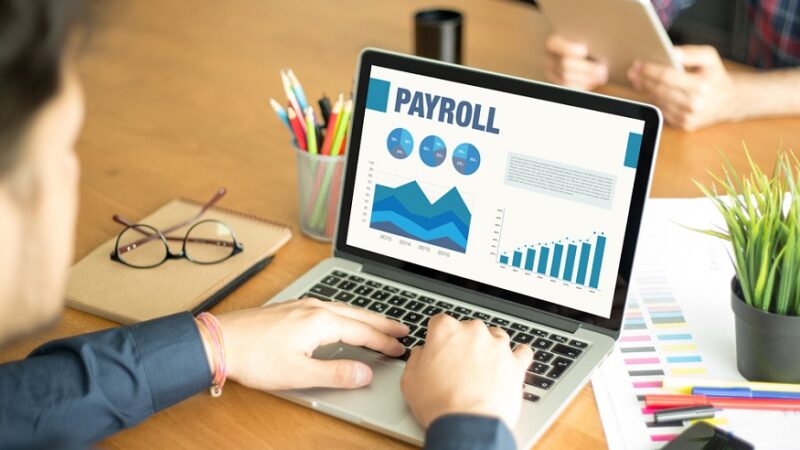 Why Install a Paystub Management Software?
