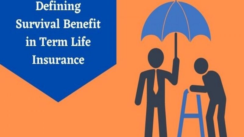 A Comprehensive Guide to Understanding Term Life Insurance
