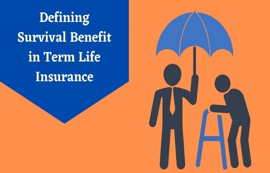 A Comprehensive Guide to Understanding Term Life Insurance