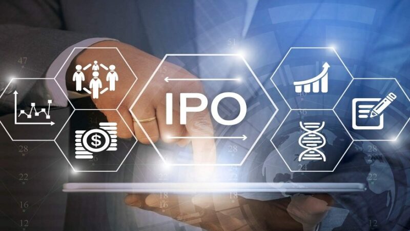 Step-by-Step Guide to Understanding IPO Shares Allotment Process