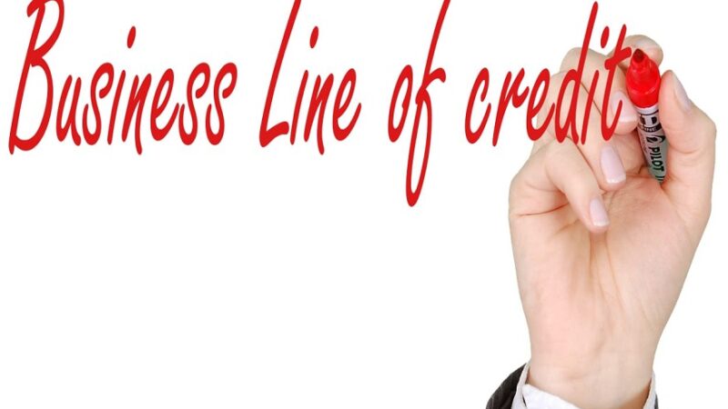 Understanding the Business Line of Credit