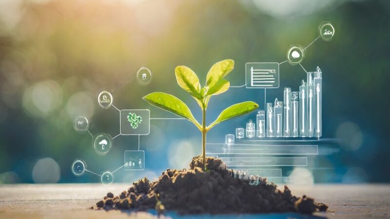 How Sustainable Business Practices Benefit Your Bottom Line