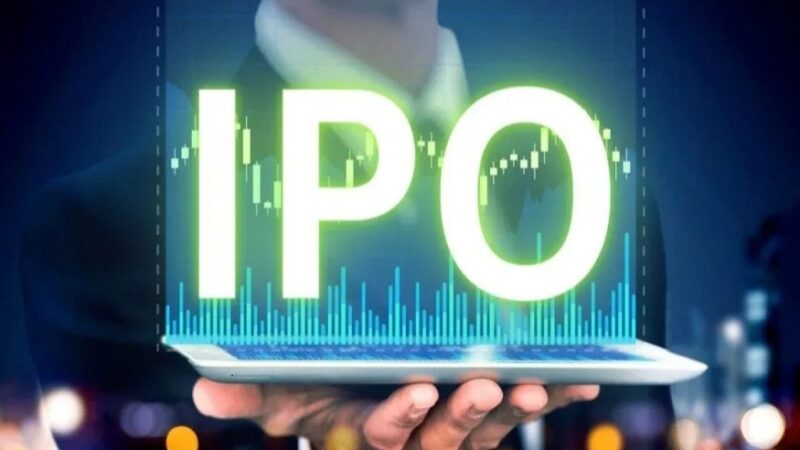 What to Do If You Get Stuck When Trying to Find Out the Status of Your Gaudium IVF IPO Subscription