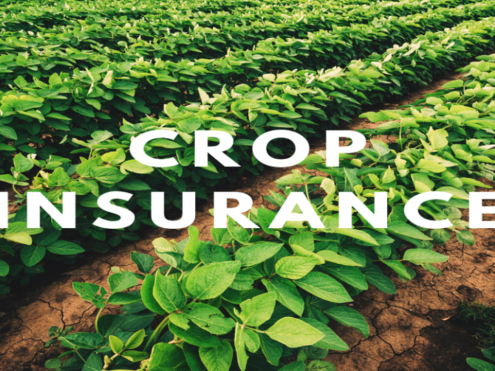 How to Choose the Right Crop Insurance Agency for Your Farm in 2026